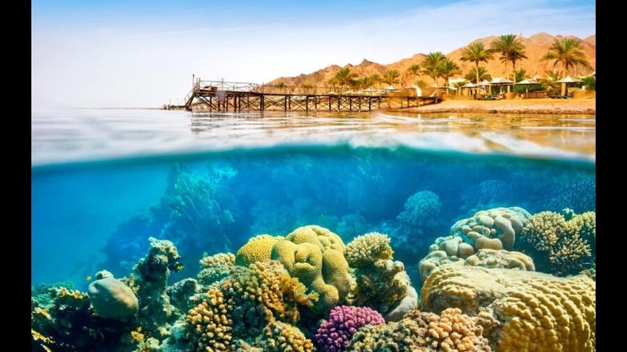 Sharm El-Sheikh: Ras Mohamed & White Island Snorkeling Trip - What lunch and drinks are really like