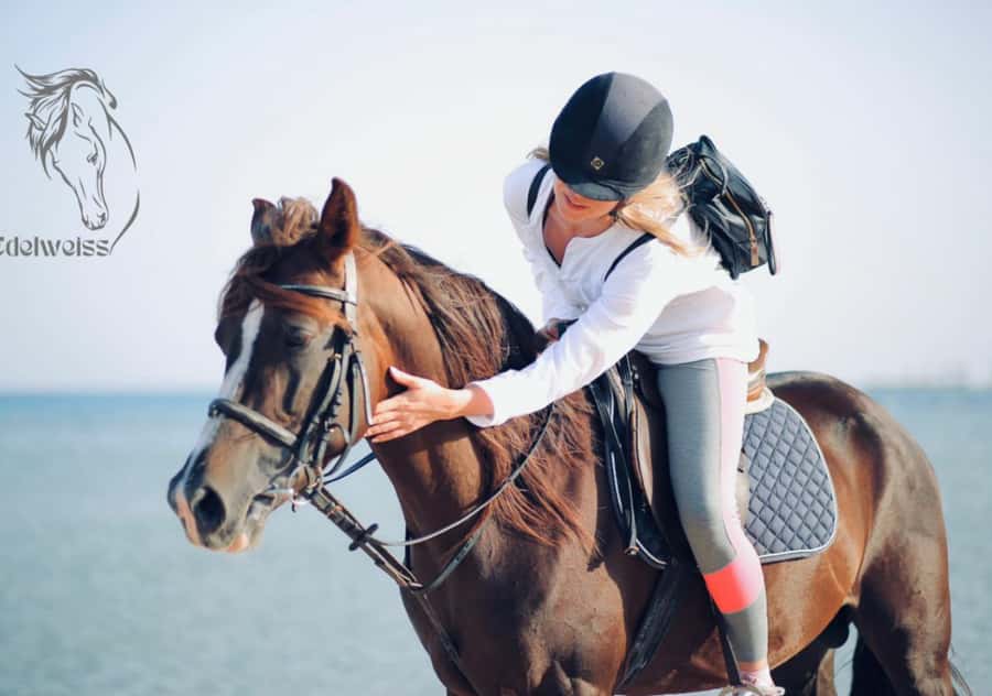 Sharm El Shiekh: Beach and City Desert Horse Riding Tour - Should you book the Edelweiss horse ride?