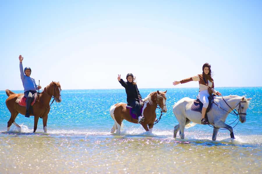 Sharm El Shiekh: Beach and City Desert Horse Riding Tour - What the word desert means here