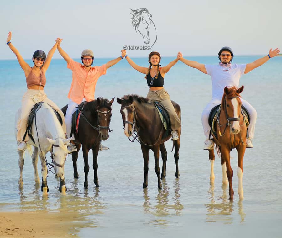 Sharm El Shiekh: Beach and City Desert Horse Riding Tour - Riding your horse into the sea