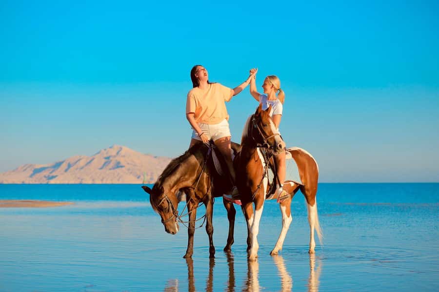 Sharm El Shiekh: Beach and City Desert Horse Riding Tour - Horse care and the stable