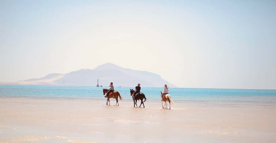 Sharm El Shiekh: Beach and City Desert Horse Riding Tour - What to wear and bring