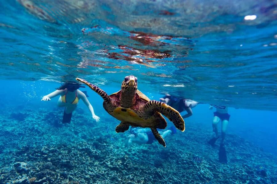 Sister, Coco, and Felicite Island: Seychelles Catamaran Tour - Sister Island brings the first real stop