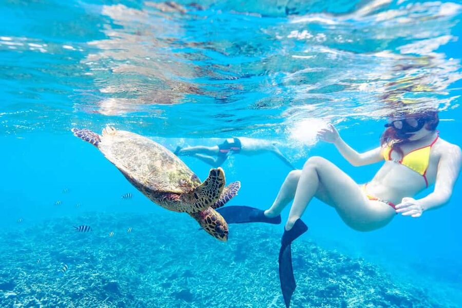 Sister, Coco, and Felicite Island: Seychelles Catamaran Tour - BBQ lunch on a moving island base