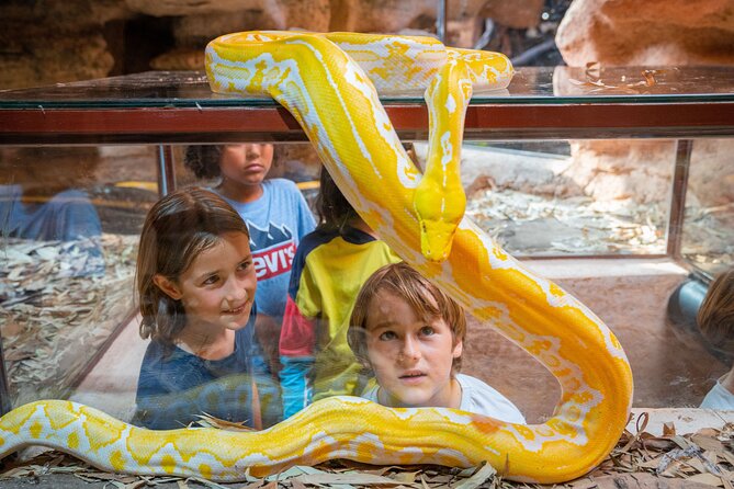 Skip the Line Ticket to Crocoparc with Optional Transfert - The Cactus Garden with iguanas and giant tortoises