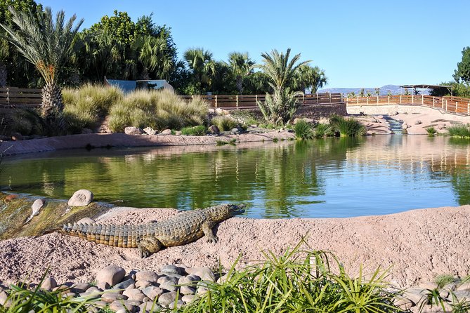 Skip the Line Ticket to Crocoparc with Optional Transfert - Old ficus trees in the Exotic Garden