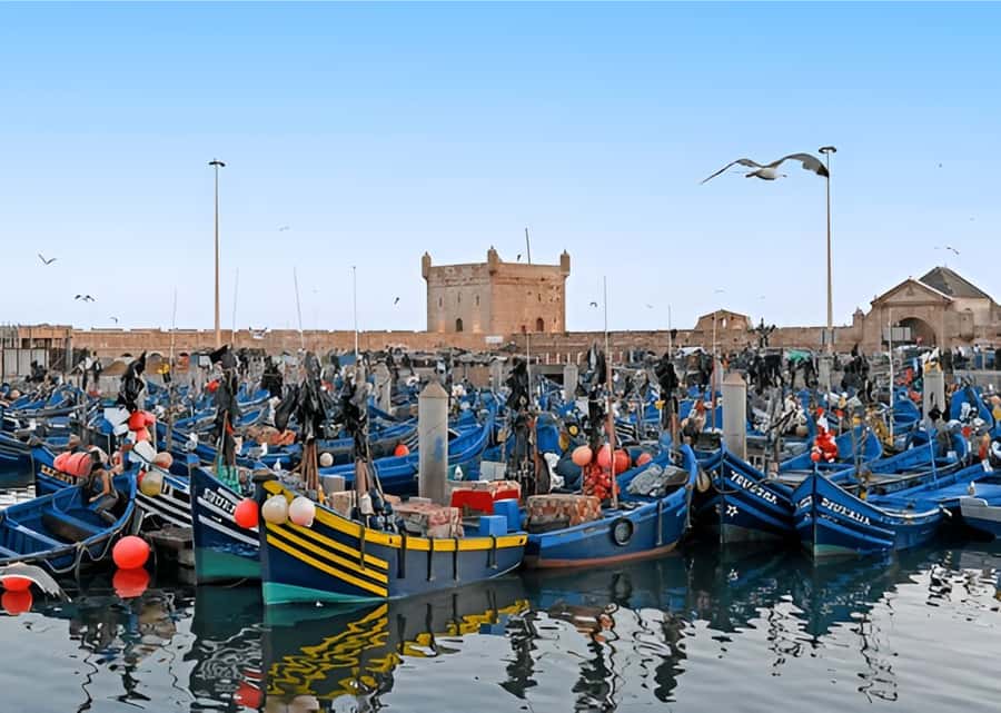 Small-Group Day Trip from Marrakech to Essaouira Mogador - What happens at the argan oil cooperative