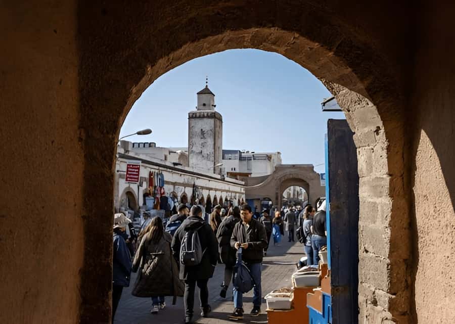 Small-Group Day Trip from Marrakech to Essaouira Mogador - Drivers, languages, and the level of guidance