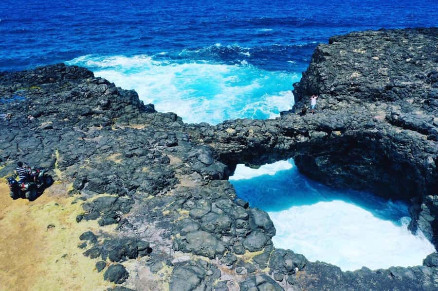 South of Mauritius: Quad Bike Tour - Royal Palm Forest and Pointe Vacoas