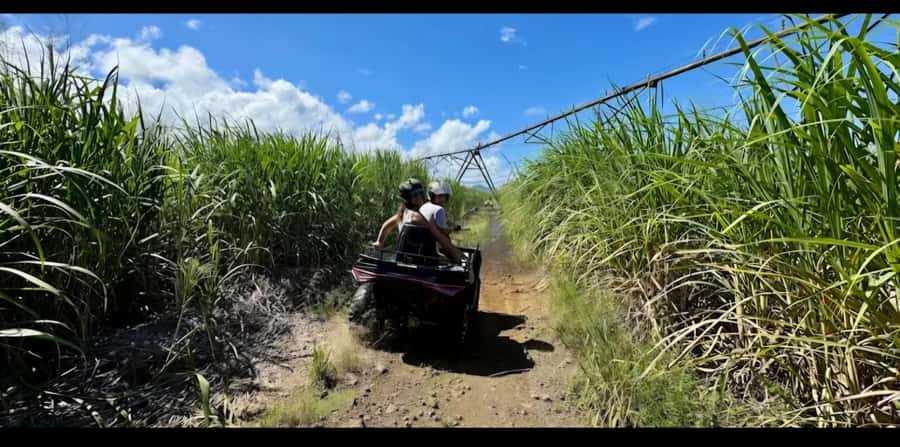 South of Mauritius: Quad Bike Tour - Timing, clothing, and practical planning