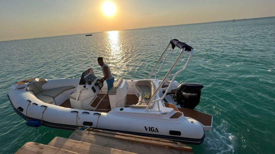 Speedboat,Parasailing, Snorkeling & Piece Of Paradise Island - Who will enjoy this day most