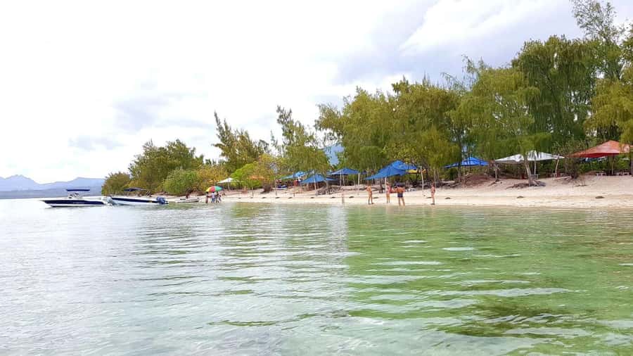Speedboat to Ile aux Benitier: Dolphin Encounter & Lunch - Key points at a glance