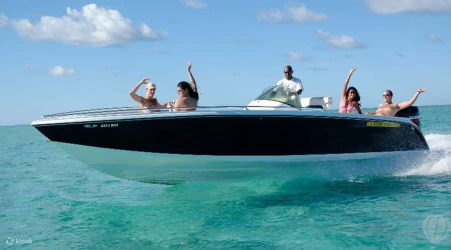 Speedboat to Ile aux Benitier: Dolphin Encounter & Lunch - A west-coast day built around dolphins