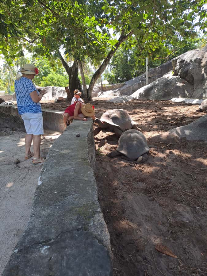 St. Anne Marine Park, Moyenne & Cerf Island Tour with Lunch - Moyenne Island and the Aldabra tortoises
