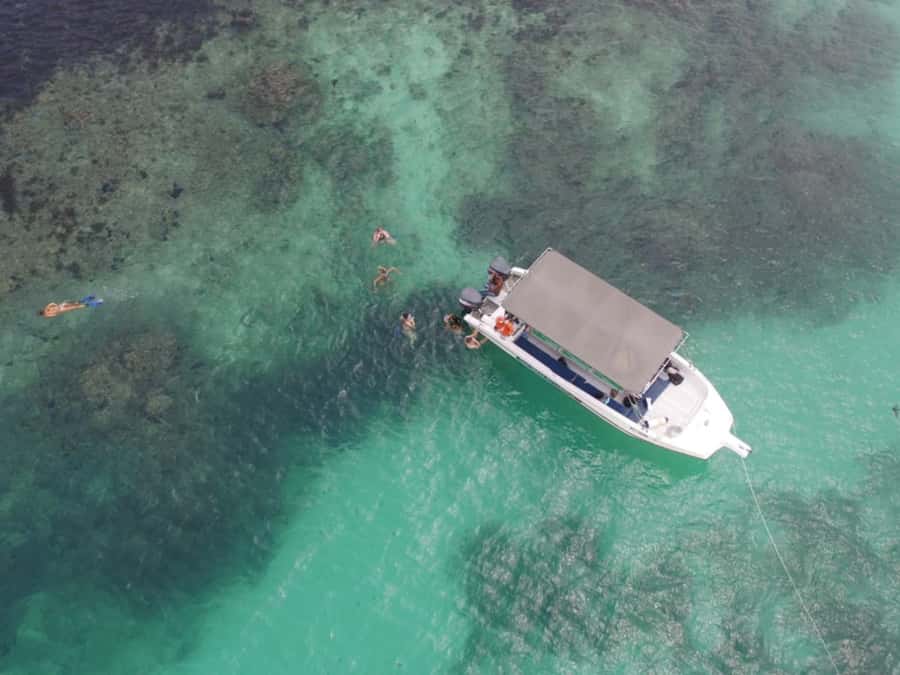 St. Anne Marine Park, Moyenne & Cerf Island Tour with Lunch - Coral gardens, fish feeding, and the first swim