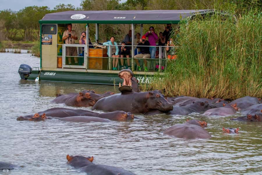 St Lucia: Hippo and Crocodile Cruise on a 15-Seat Vessel - Why Lake St Lucia is the right place for a hippo cruise
