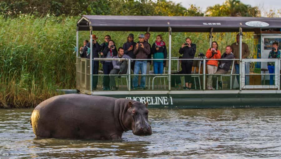 St Lucia: Hippo and Crocodile Cruise on a 15-Seat Vessel - The first stretch: settling into the estuary