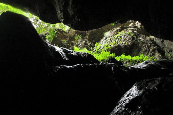 Standard Canyoning Trip in The Crags, South Africa - Timing, weather, and cancellation