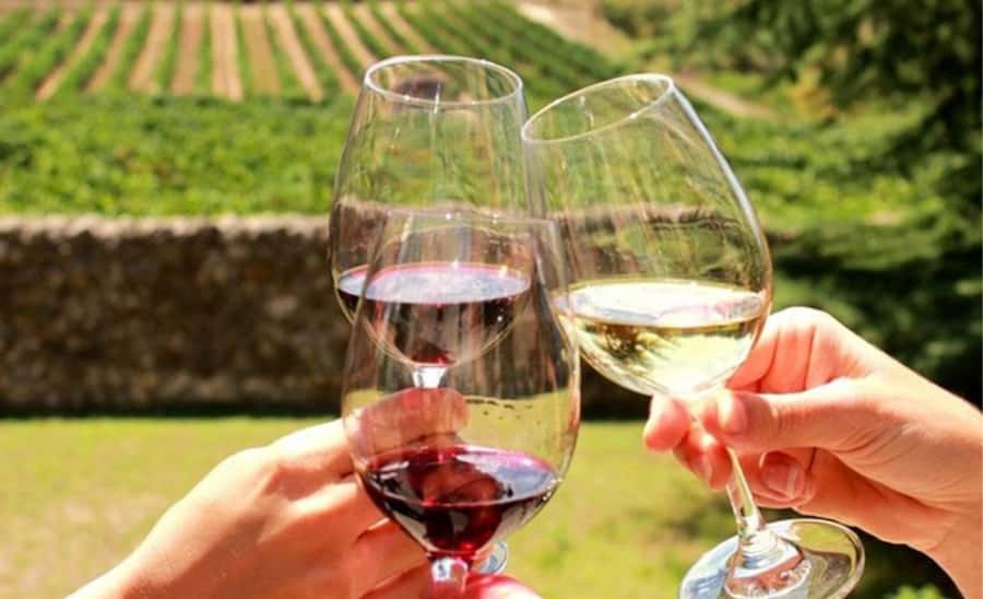 Stellenbosch: Half-Day Wine Tour - Key points at a glance
