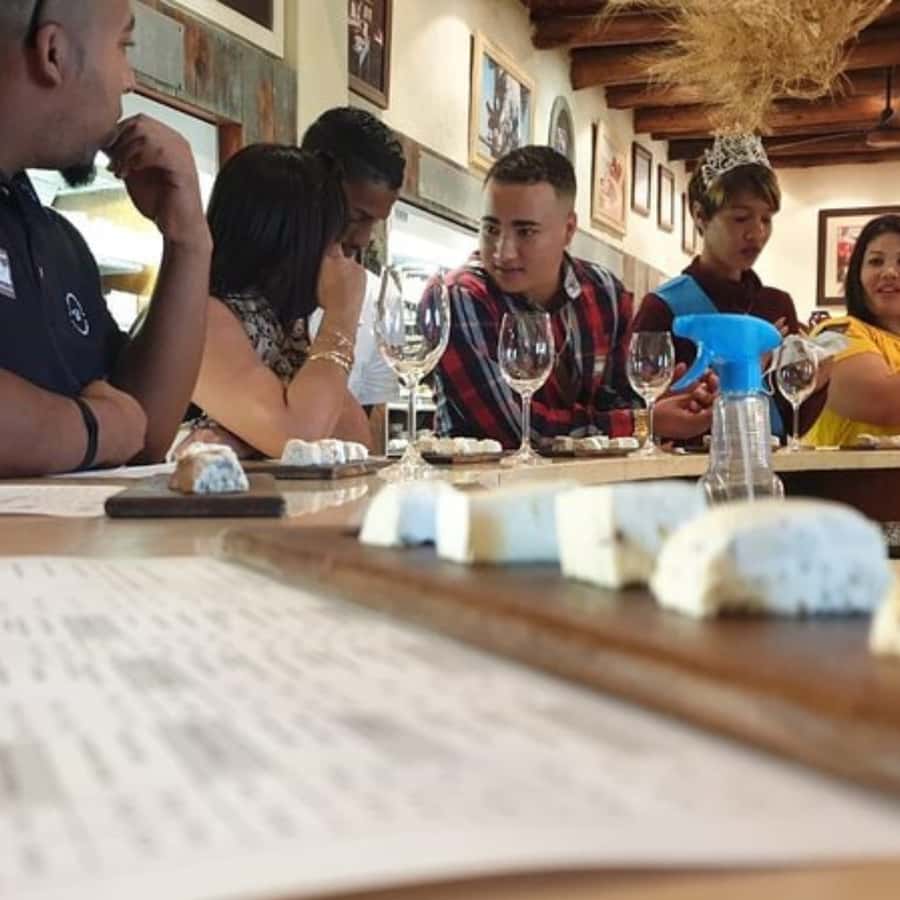 Stellenbosch: Half-Day Wine Tour - First tasting: cheese, six wines, and a cellar visit