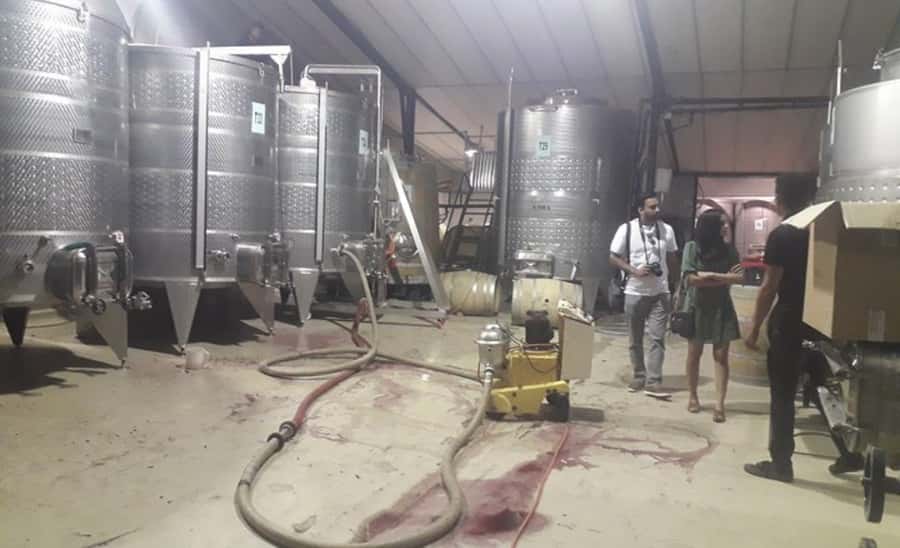 Stellenbosch: Half-Day Wine Tour - Thirty minutes in Stellenbosch town