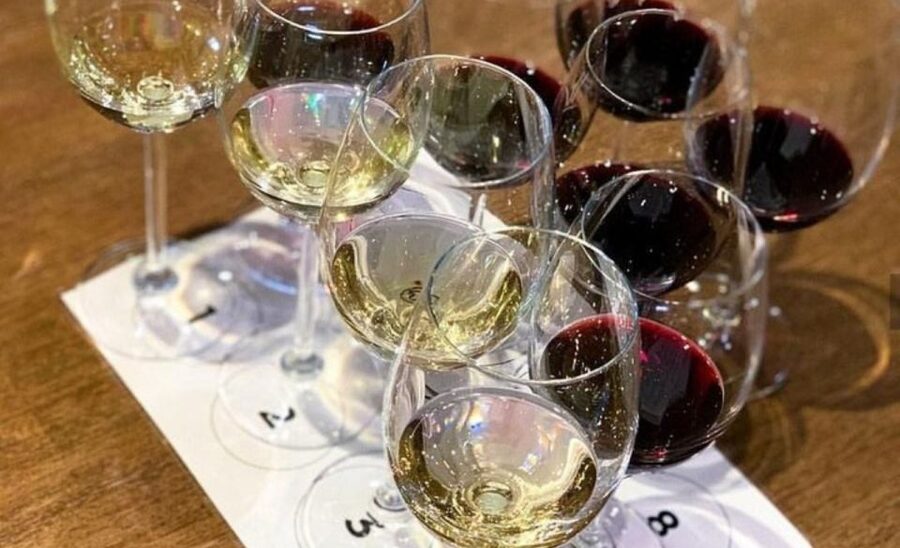 Stellenbosch: Half-Day Wine Tour - Wine choices, food options, and alcohol rules