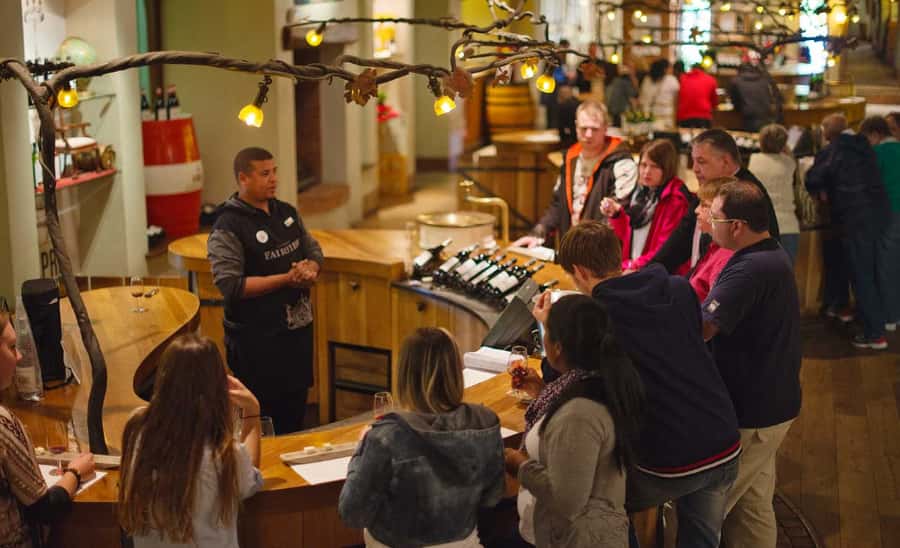 Stellenbosch: Half-Day Wine Tour - The Cape Town pickup and drive to Stellenbosch