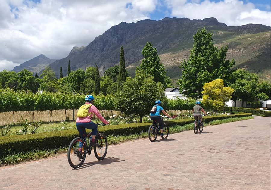 Stellenbosch: Historical Bike Tour & Wine Tasting - How hard is the cycling?