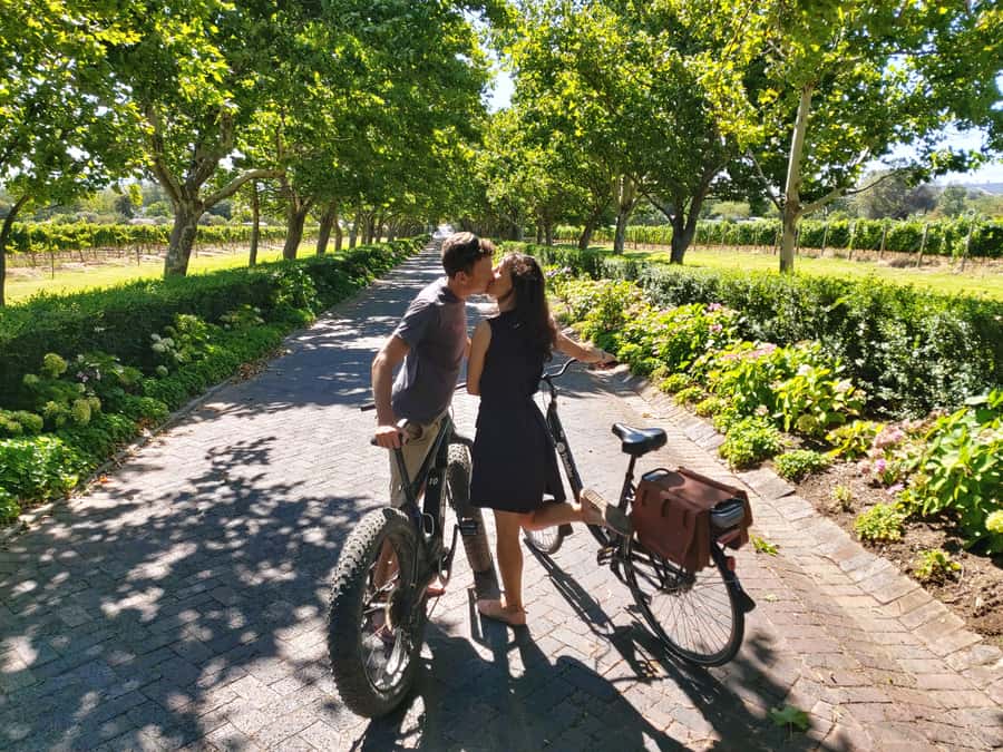 Stellenbosch: Wine Farm E-Bike Guided Tour - Why an e-bike suits Stellenbosch wine country