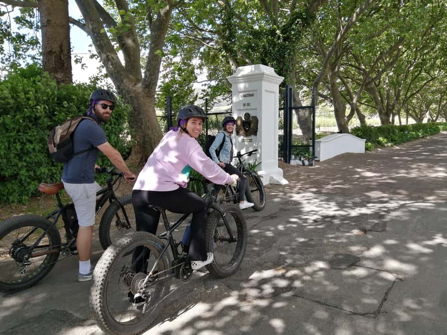 Stellenbosch: Wine Farm E-Bike Guided Tour - The first wine farm: 30 minutes for a taste and a look around
