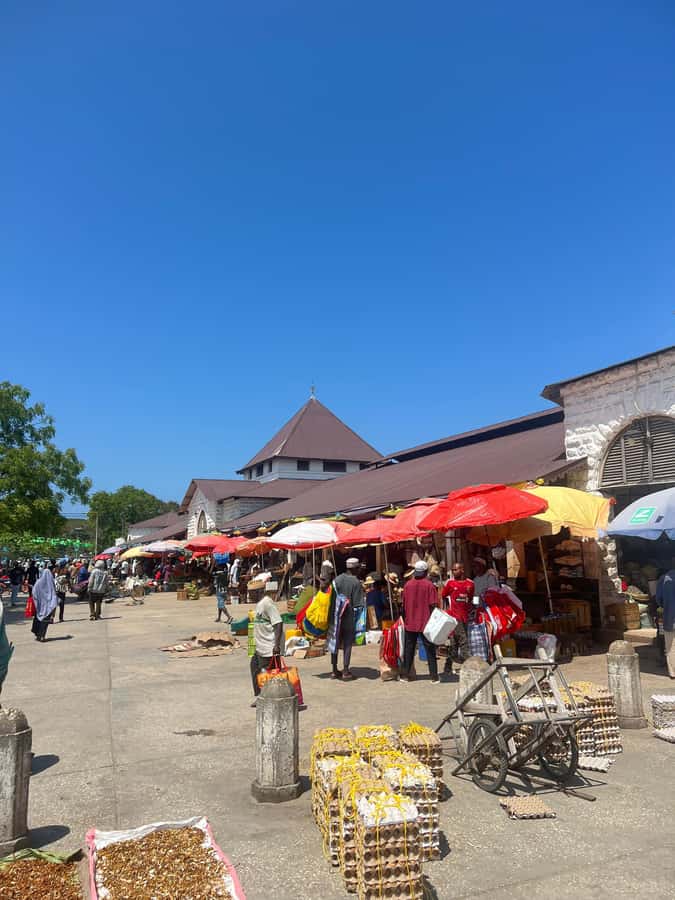 Stone Town's Hidden History: Private Guided Walking Tour - House of Wonders and the palace area