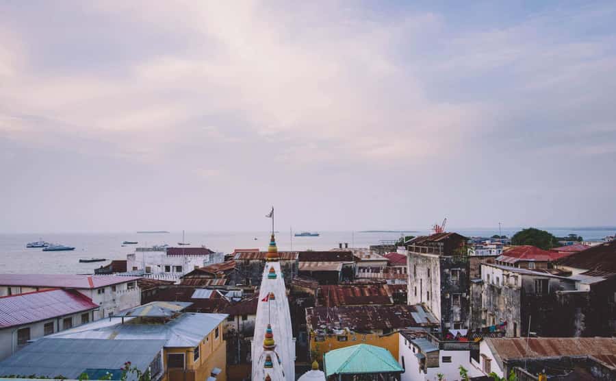 Stone Town's Hidden History: Private Guided Walking Tour - The Old Fort and Forodhani Gardens