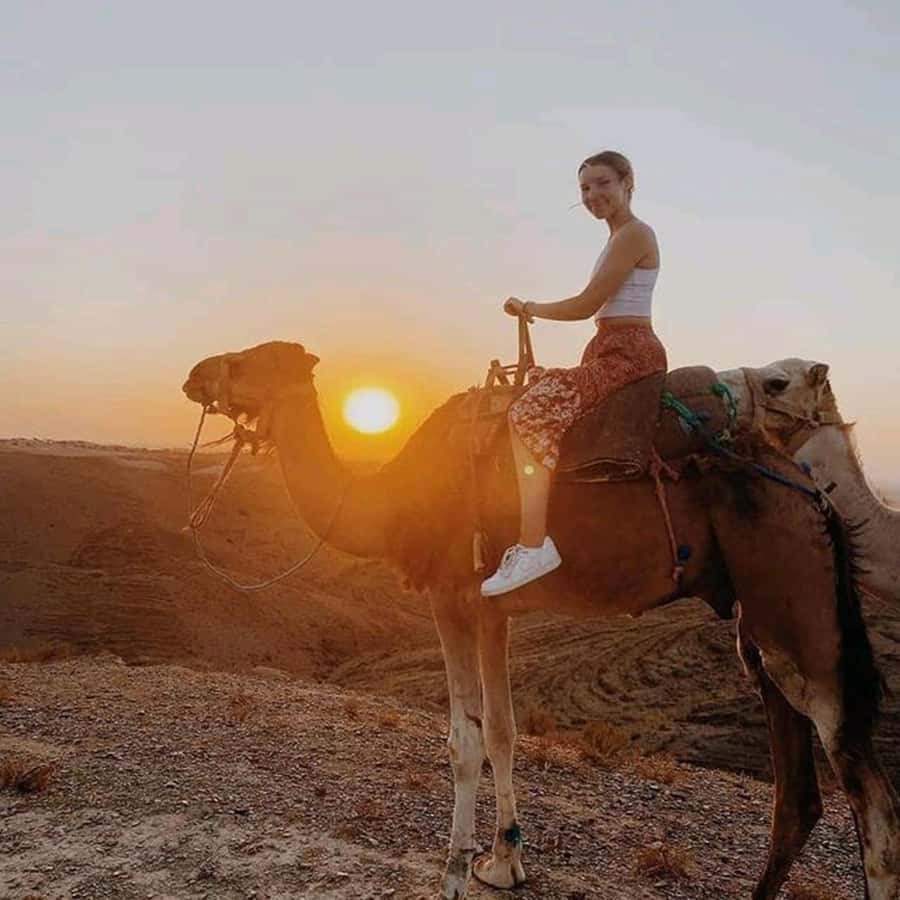 Sun set camel ride in palmerai of Marrakesh - Key points at a glance