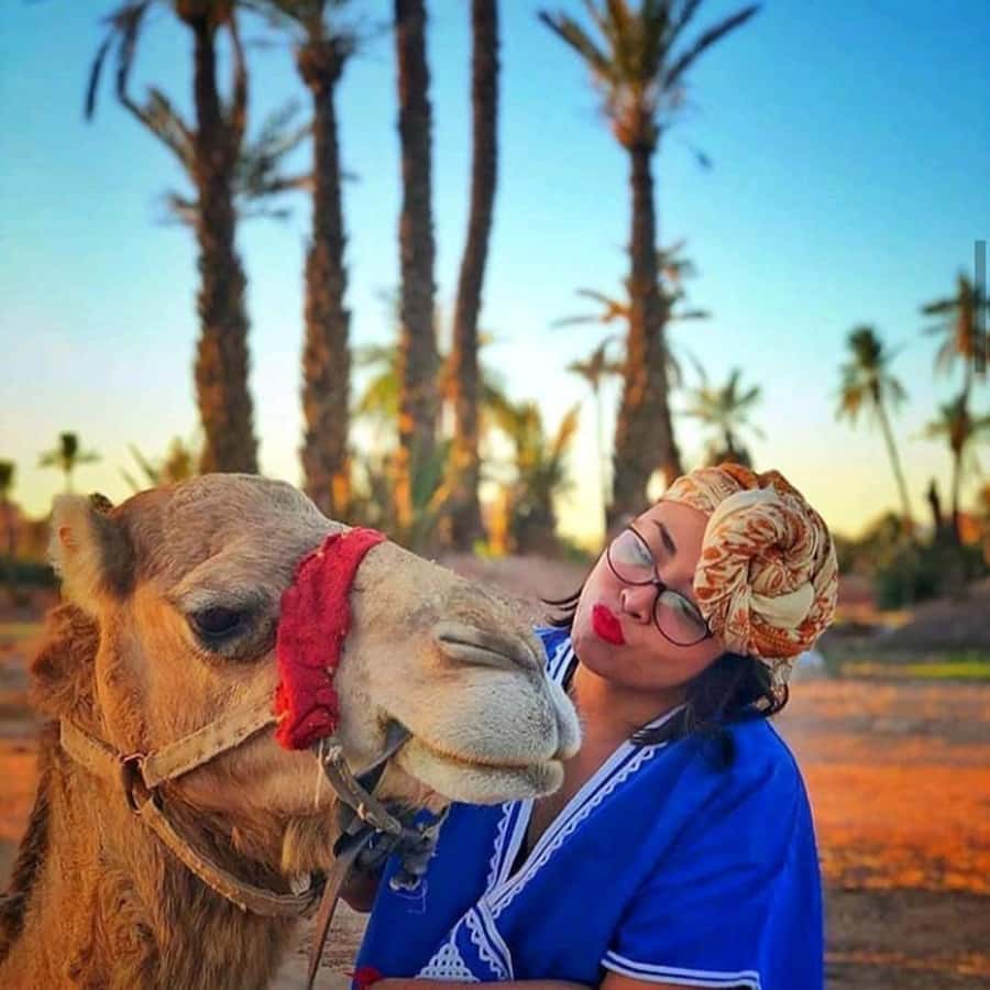 Sun set camel ride in palmerai of Marrakesh - A sunset ride close to Marrakesh