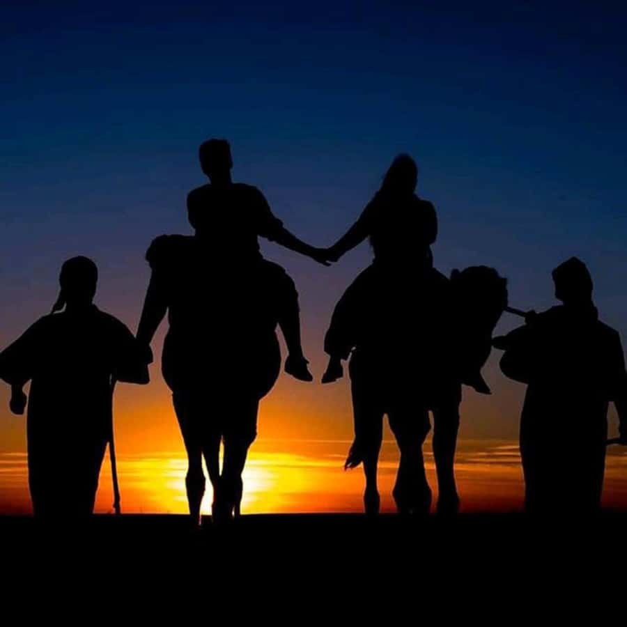 Sun set camel ride in palmerai of Marrakesh - Getting ready for the camel