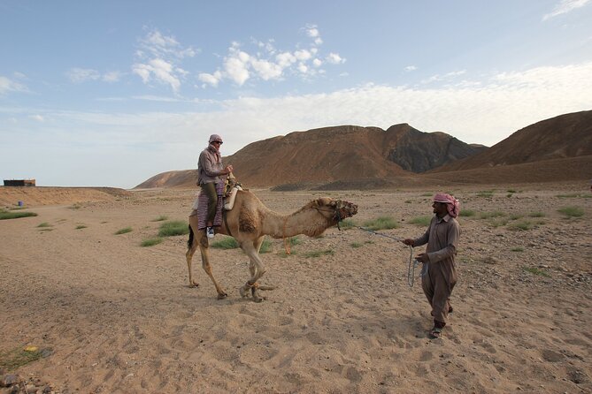 Sunset Camel Ride in Agadir or Taghazout With Transfers - What the $17.68 price really buys