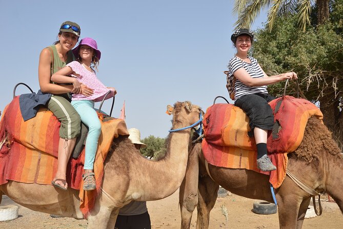 Sunset Camel Ride in Agadir or Taghazout With Transfers - Sunset light, photographs, and guide support