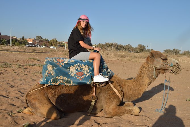 Sunset camel ride in Agadir with transport, tea and cakes. - What this Agadir camel ride really is
