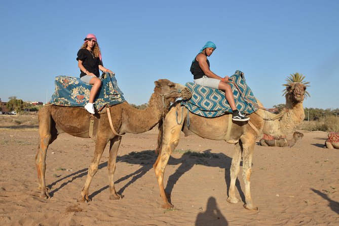 Sunset camel ride in Agadir with transport, tea and cakes. - Meeting the camels and getting comfortable in the saddle