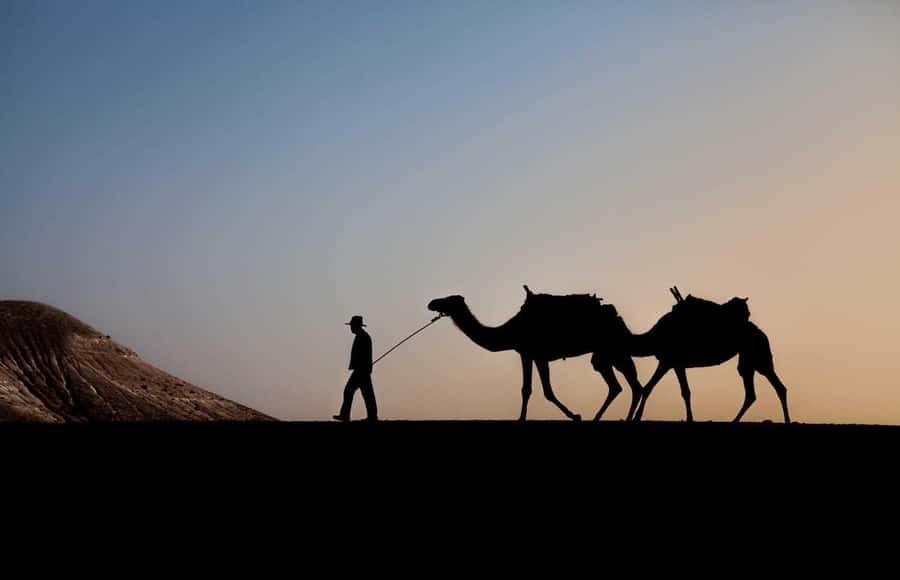 Sunset Camel Ride in Agafay Desert with dinner and pool - Sunset over Agafay, without Sahara-sized dunes