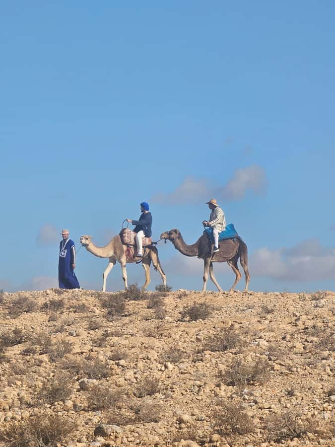Sunset Camel Ride in Agafay Desert with dinner and pool - Tea, dinner, and a show under the tent
