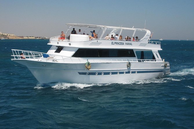 Swimming with Dolphin VIP Snorkeling Sea Trip With Lunch and Transfer - Hurghada - Water sports, swimming, and time between stops