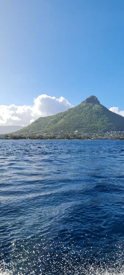 Tamarin: Dolphin Snorkel, CrystalRock, ile o Benitiers Lunch - How the guides affect the day