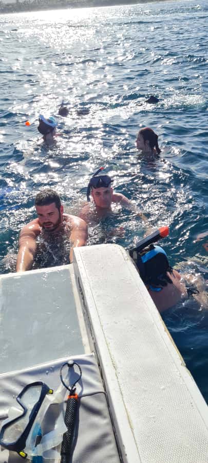 Tamarin: Dolphin Snorkel, CrystalRock, ile o Benitiers Lunch - Is $77 good value?