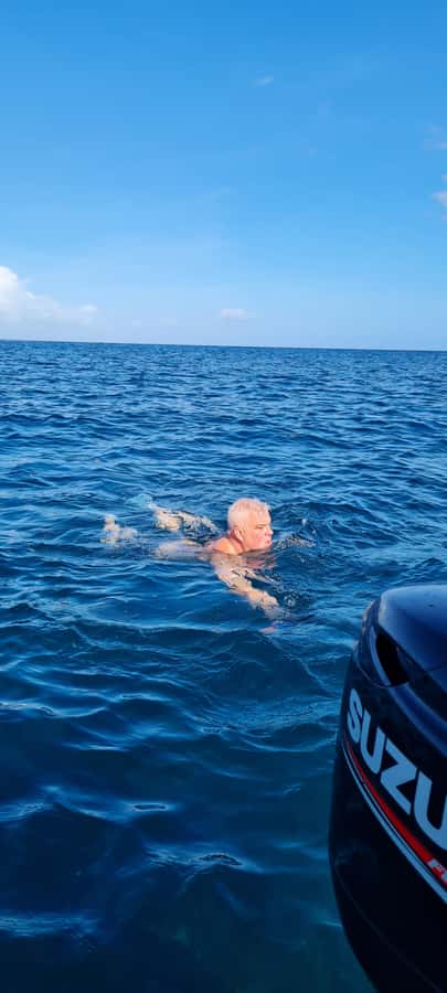 Tamarin: Dolphin Snorkel, CrystalRock, ile o Benitiers Lunch - Who should book this outing?