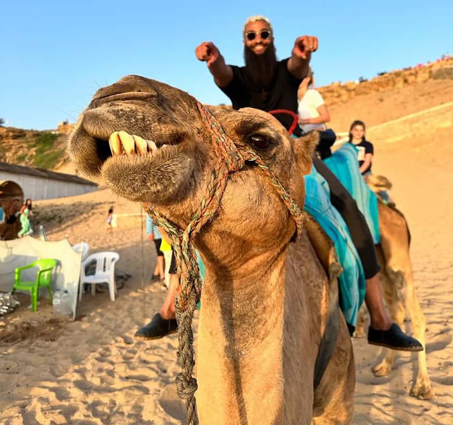 Tangier: Achakar Beach Sunset Camel Ride & Moroccan Dinner - Who will enjoy this Tangier evening most?