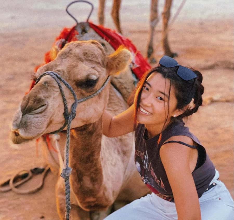 Tangier: Achakar Beach Sunset Camel Ride & Moroccan Dinner - The drive through Tangier’s western side