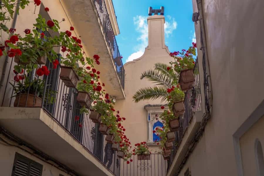 Tangier Half-Day Guided City Tour - FAQ