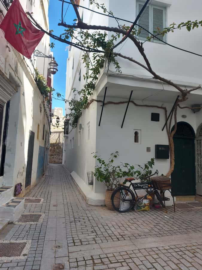 Tangier Highlights Private 6-Hour Tour - The Archaeological Museum adds useful context