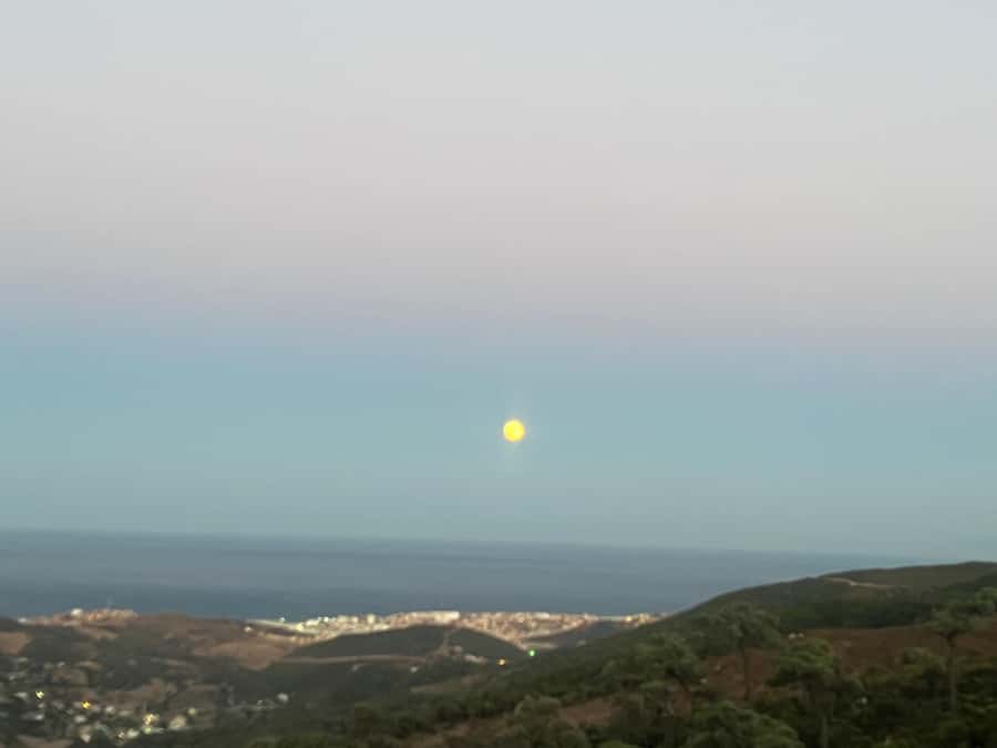 Tangier: Sunset, Tea, Sweets, Camel Ride, and Hercules Caves - Mint Tea and Pastries at Bouhindiya